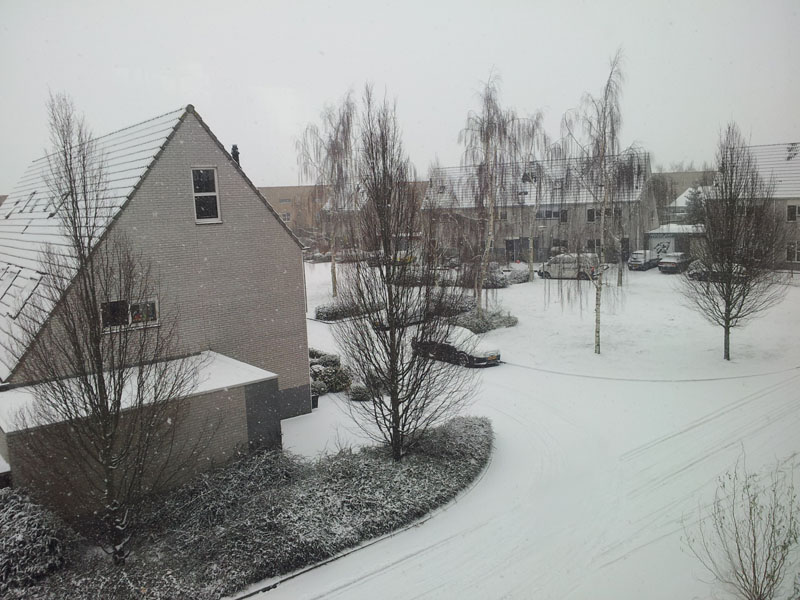 20120203_112523_s.jpg