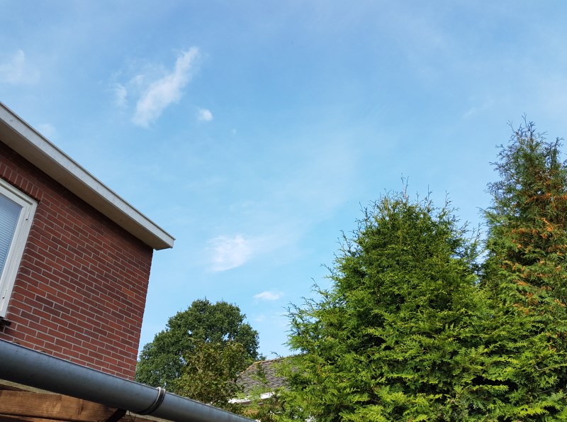 20160917_120349.jpg
