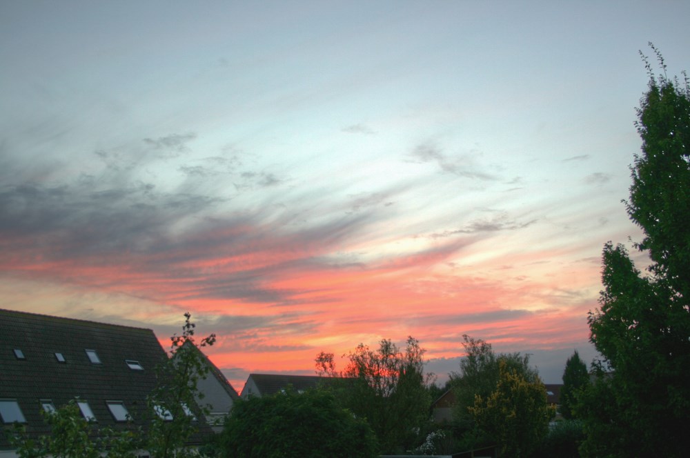IMG_6005_s.JPG