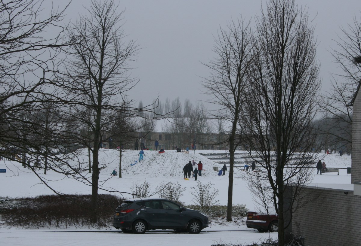 IMG_7399.JPG