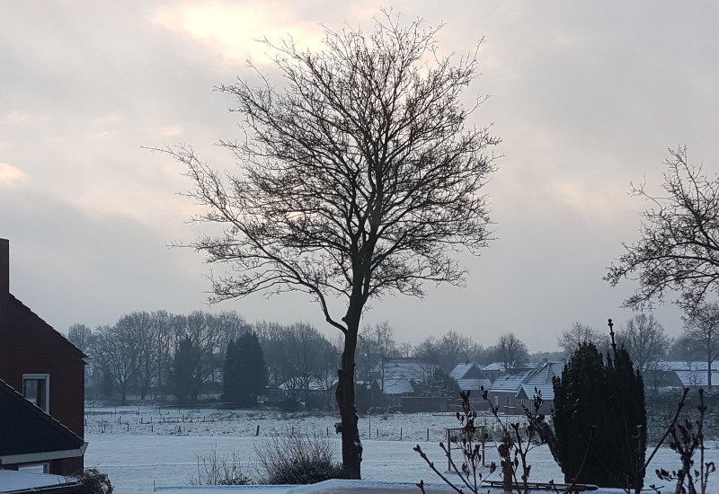 20180120_091158.jpg