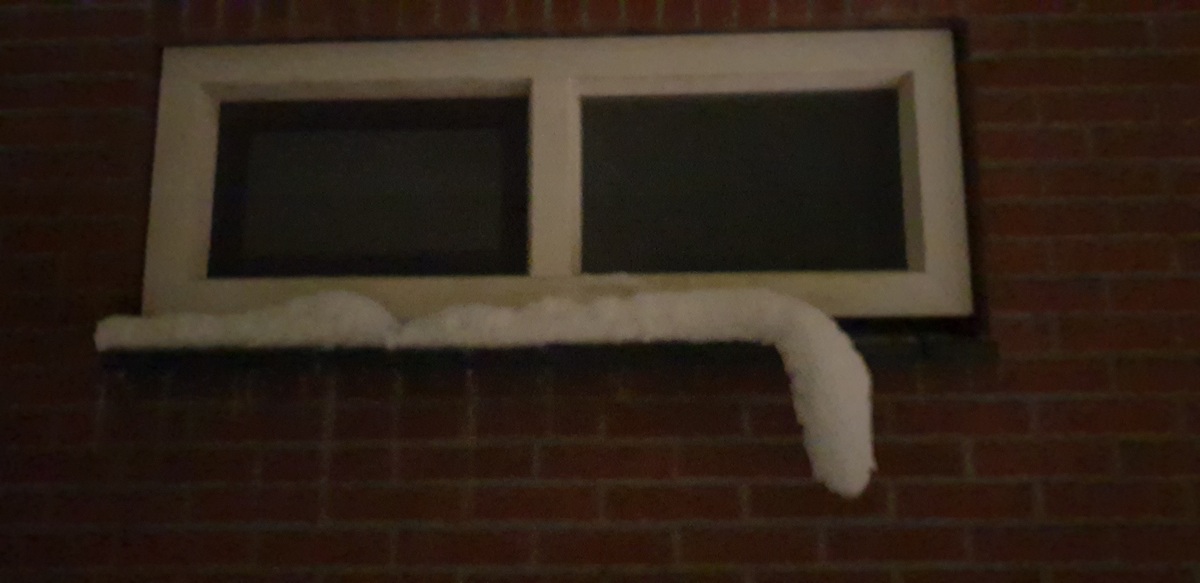 20260107_192052.jpg